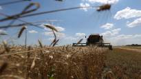 The Black Sea grain agreement expires on Monday there