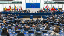 The EUs controversial restoration regulation was voted to continue