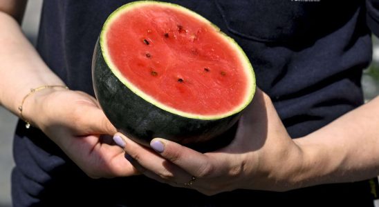 The infallible trick to choose the best watermelon every time