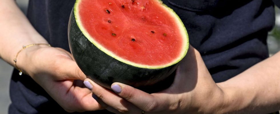 The infallible trick to choose the best watermelon every time