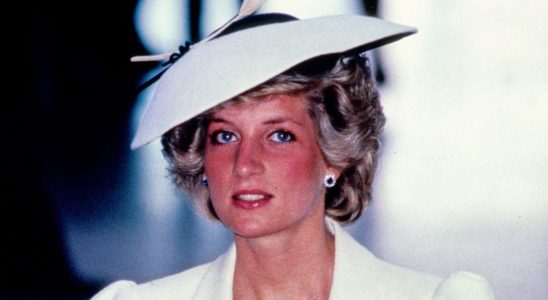 This sweater found in an attic belonged to Lady Diana