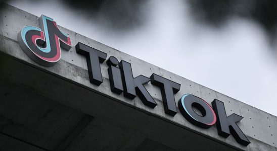 TikTok the indictment of the Senate against the Chinese application