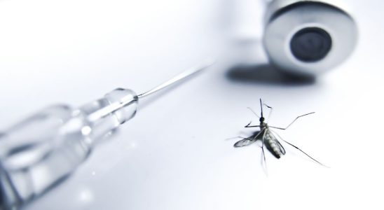 Twelve African countries to receive 18 million doses of malaria