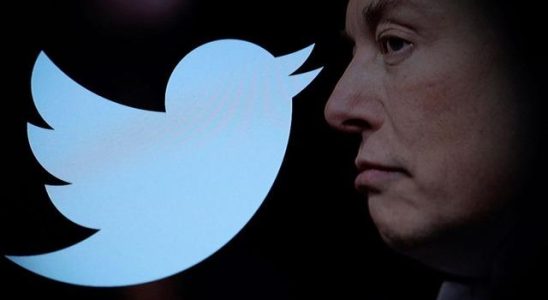 Twitters name is changing Elon Musk did not sit still