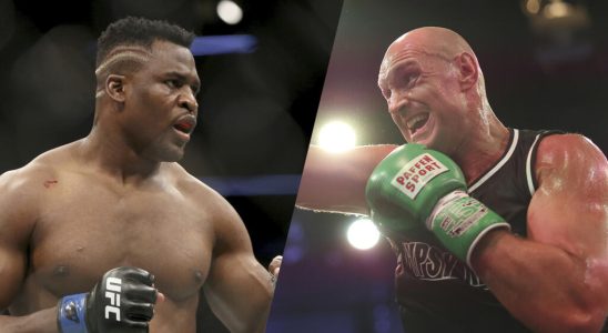Tyson Fury will fight MMA star Francis Ngannou well