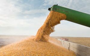 Ukraine Russia is looking for new routes for wheat guarantees