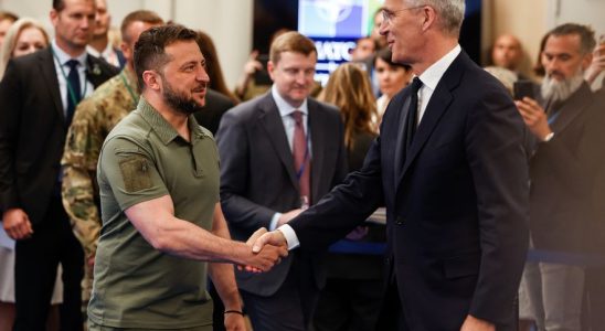Ukraines accession to NATO Zelensky will wait for clearer signals