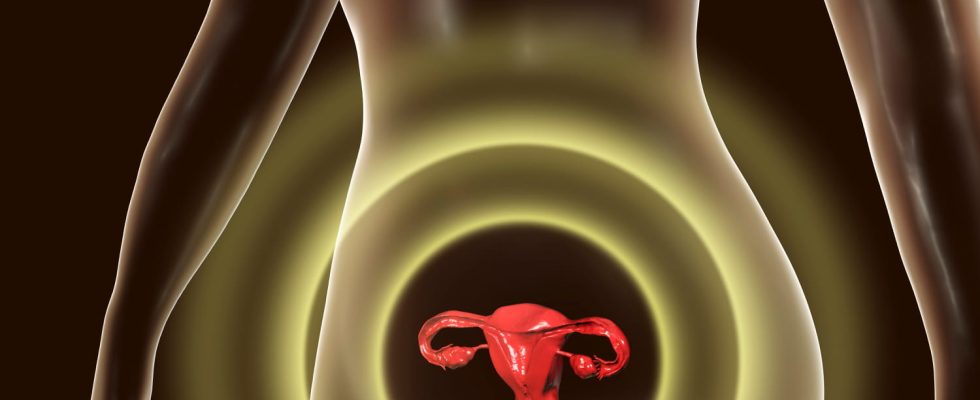 Uterus diseases what are the different forms