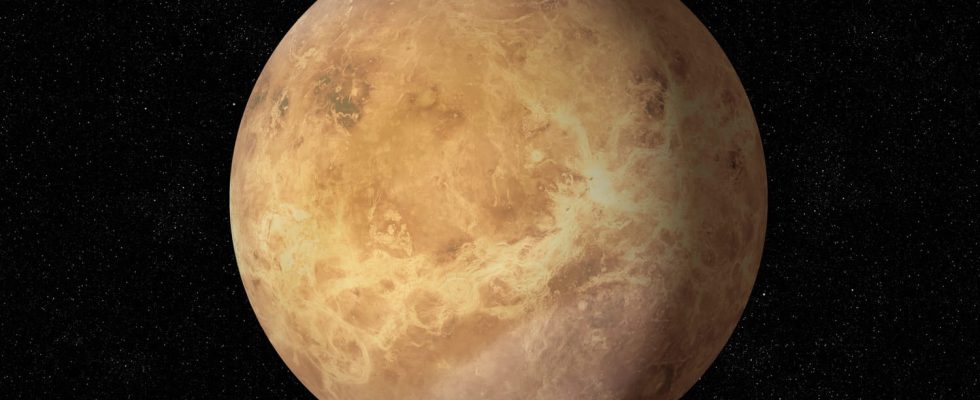 Venus the evening star will shine brightly on Sunday July