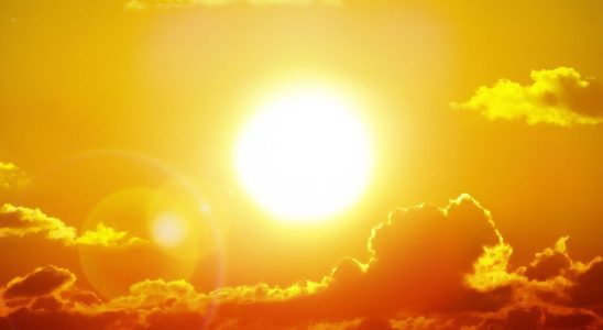 What are the health indicators monitored during the heat wave