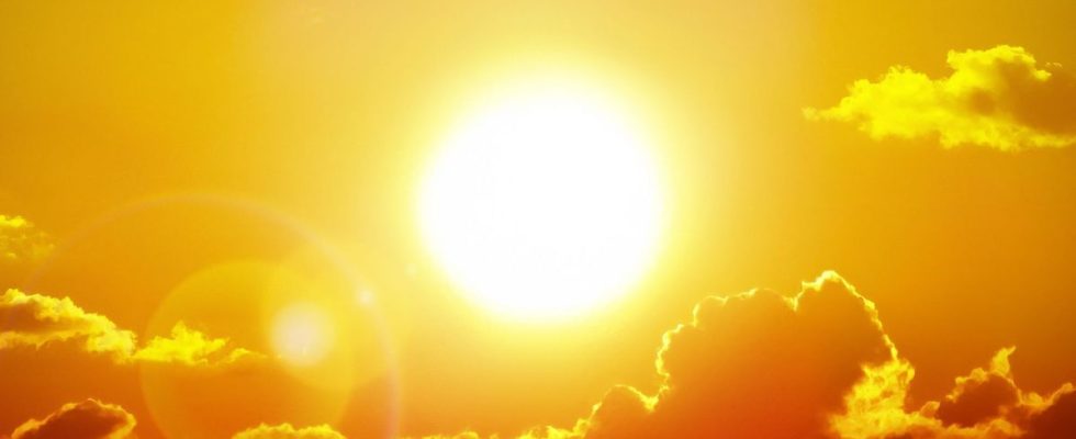 What are the health indicators monitored during the heat wave