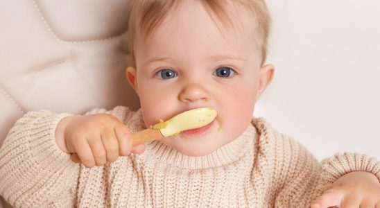 What cheeses can baby eat and at what age