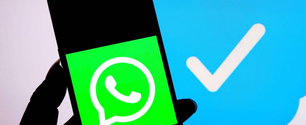 Whatsapp outage beware bug confirmed this Wednesday July 19 What