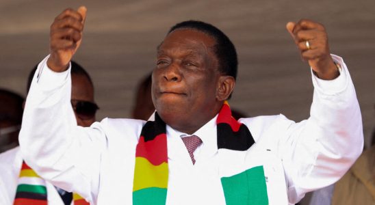 Zimbabwe President Mnangagwa signs patriotic law banning any criticism of