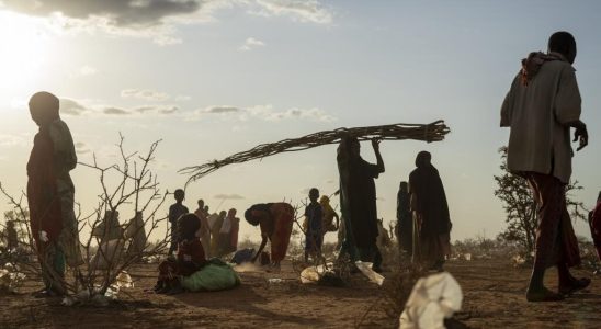 complaints of climate inaction are slowly increasing in Africa