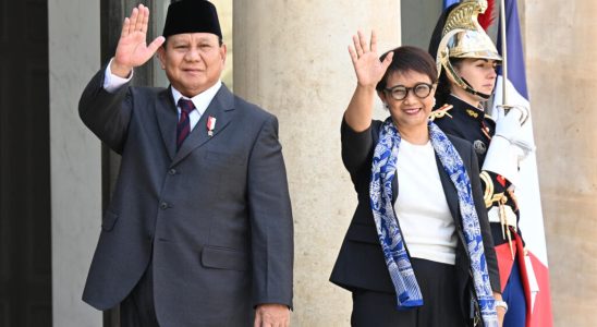 the French and Indonesian Ministers of Foreign Affairs and Defense