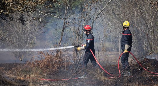 which departments are most at risk this summer