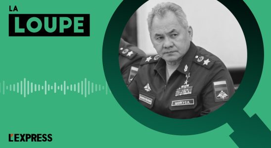 why Sergei Shoigu did not fall after the Prigozhin uprising