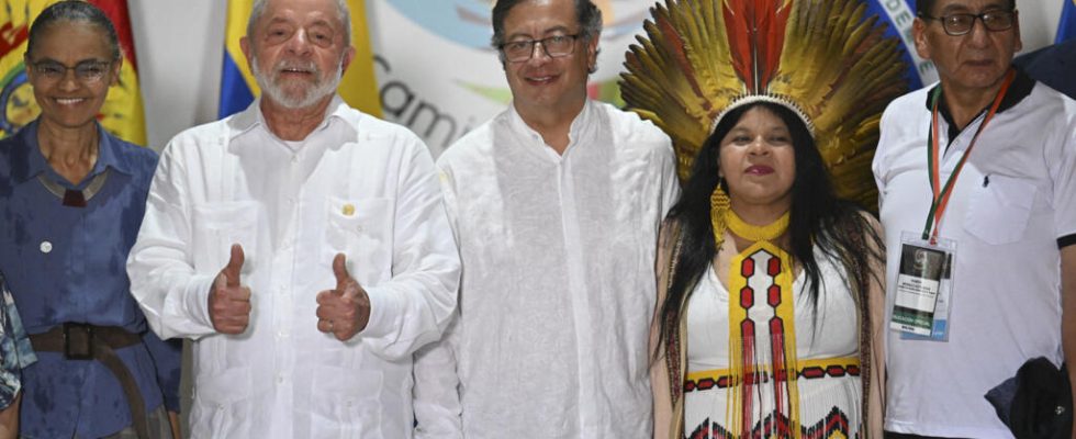 Amazon Summit in Brazil an appointment to save the lungs
