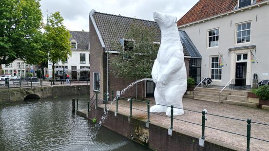 Amersfoort polar bear is banned from urinating at night It