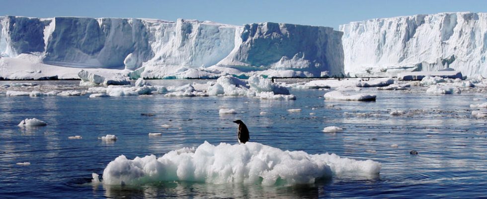 Antarctica records an abnormally low level of ice