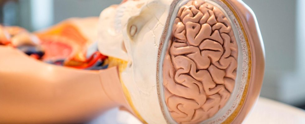 Brain implants help ALS sufferers with speech