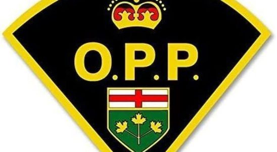 Brantford man charged in 100000 theft