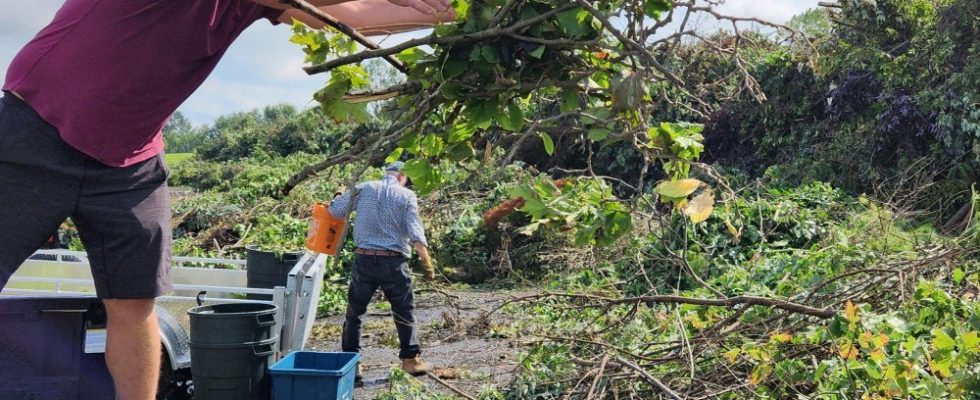 Cleanup continues in storms aftermath as researchers confirm downburst