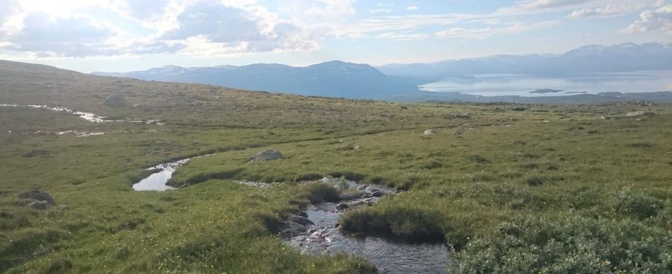 Climate Live Higher than expected methane emissions from northern streams and