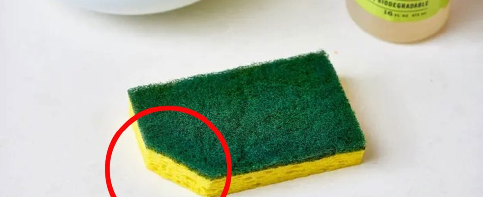 Cut a corner of the dish sponge this trick is