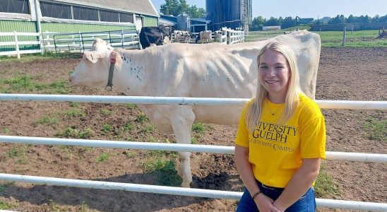 Dairy farming students have online learning options thanks to provincial