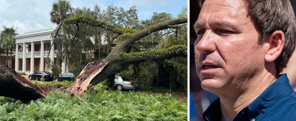DeSanti family in hurricane drama oak tree fell on