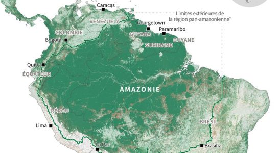 Deforestation of the Amazon in Brazil Lulas balancing act