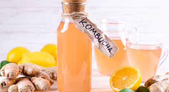 Drinking kombucha significantly lowers blood sugar