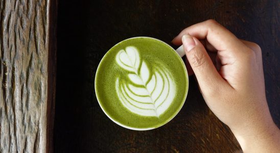 Drinking matcha tea every day is it good or dangerous