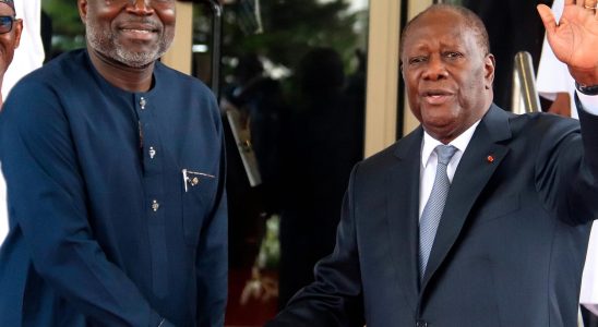 Ecowas announcement of early military intervention is supported