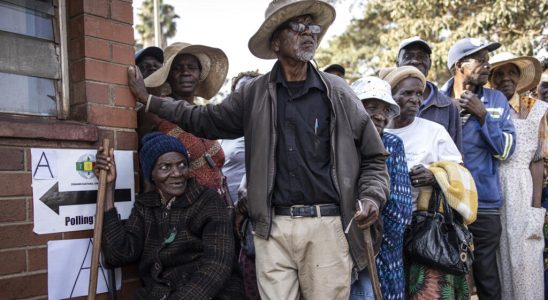 Elections in Zimbabwe local observers denounce irregularities