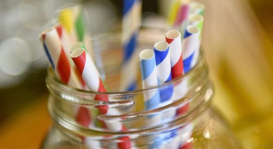 Europe has banned plastic straws but study shows paper straws