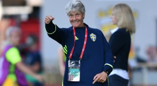 Foot Brazil coach Pia Sundhage thanked after World Cup failure
