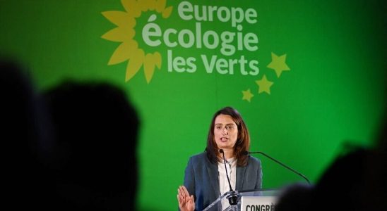 France the EELV party announces that it will no longer