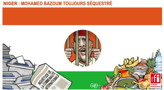 Glezs view of the imprisonment of overthrown President Mohamed Bazoum