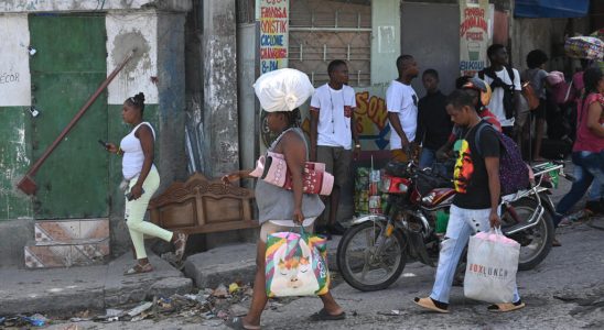 Haiti the international force should be content to protect essential