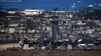 Hawaiis wildfires have already claimed 93 lives and the number