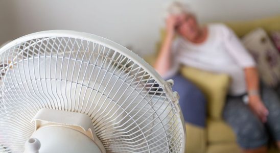 Heat waves can lead to cognitive decline
