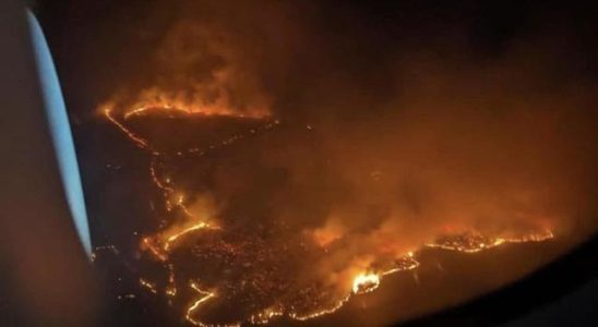 Horrible balance sheet in the fire in Hawaii 114 people