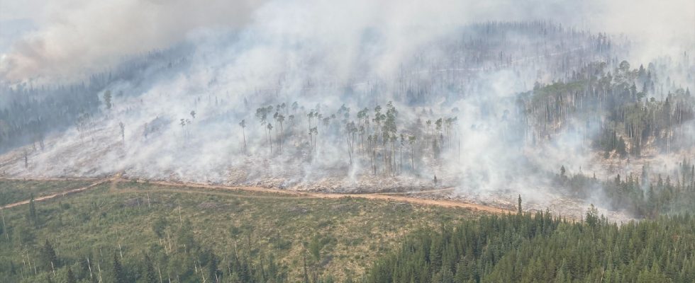 In Canada forest fires have generated record carbon emissions