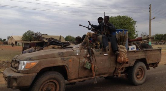 In Sudan armed movements in Darfur are trying to resist