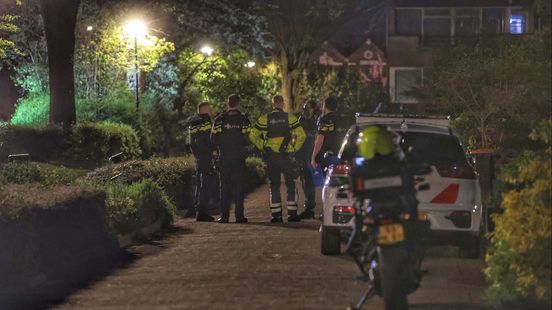 Man from Wijk shot officers with a crossbow before he