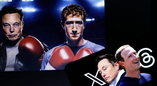 Mark Zuckerberg vs Elon Musk the MMA fight broadcast live