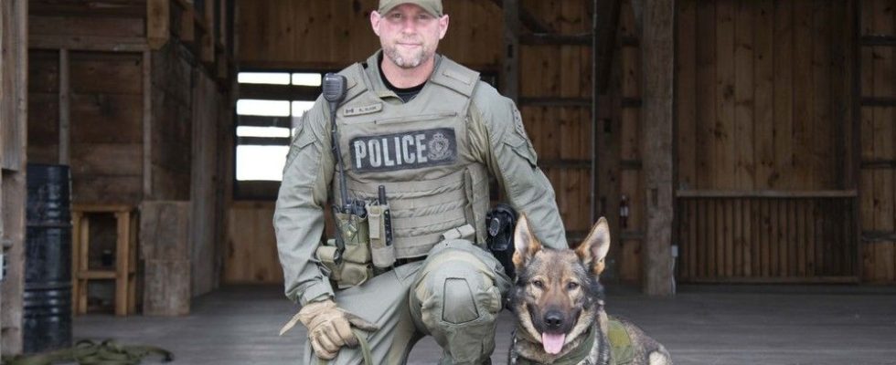 Meet Tackle a new member of the OPP canine unit